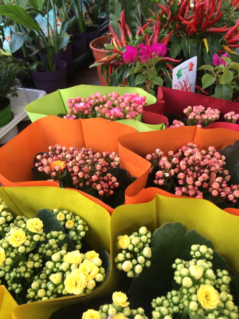 morning-market-old-town-nice-france