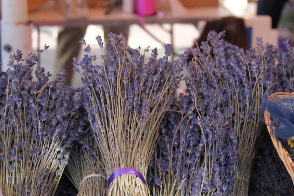 The Charm of Local Markets: Exploring the Morning Market in Nice,&nbsp;France