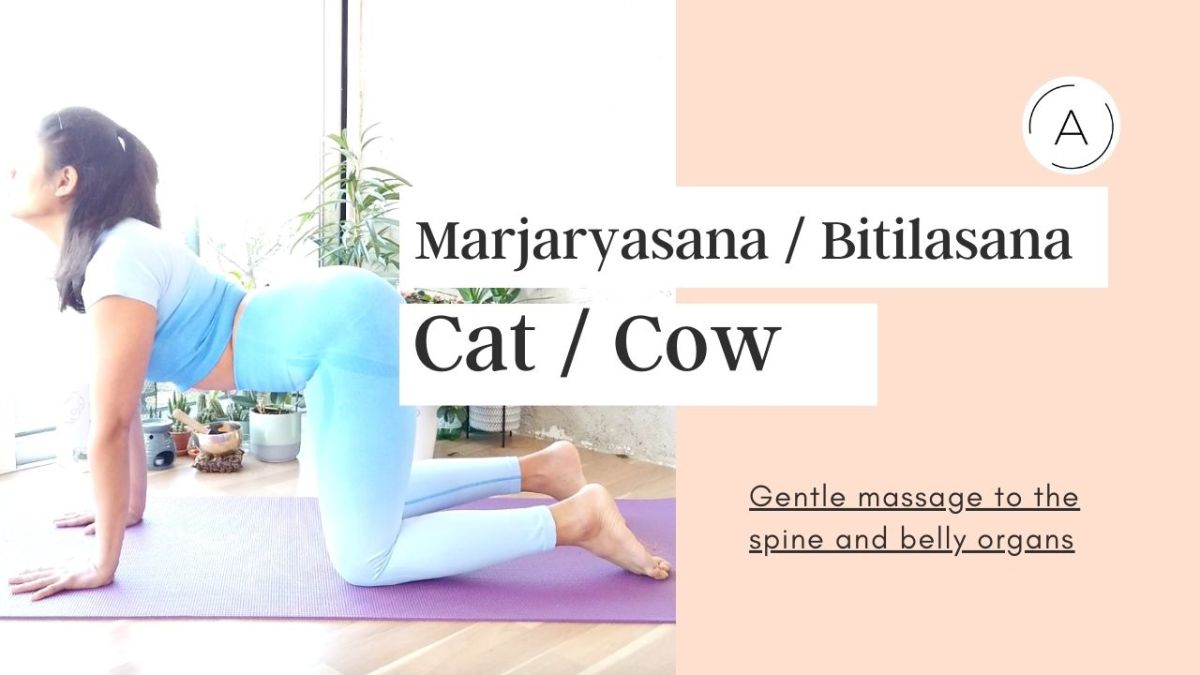 Marjaryasana & Bitilasana (Cat &&nbsp;Cow)